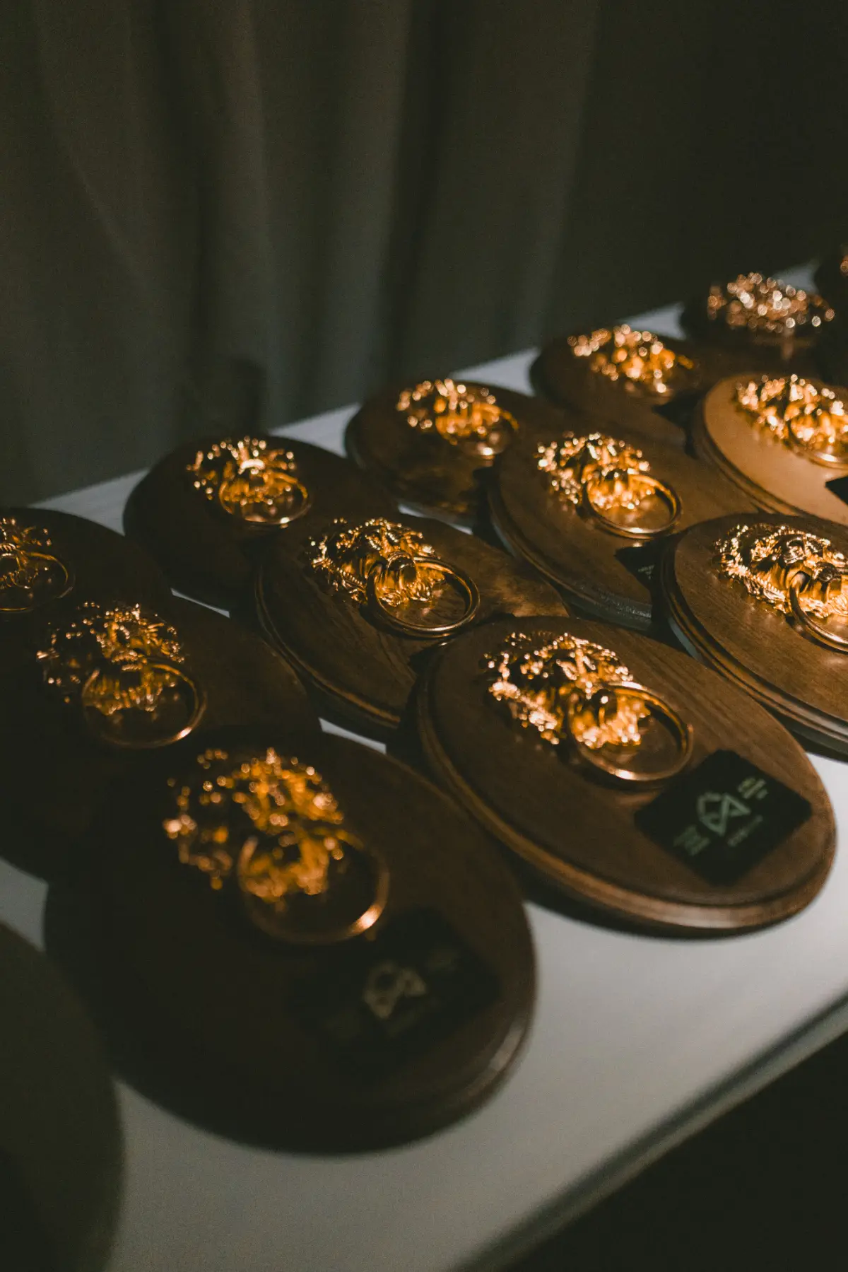 Golden Door Awards trophies on display at D2DCon